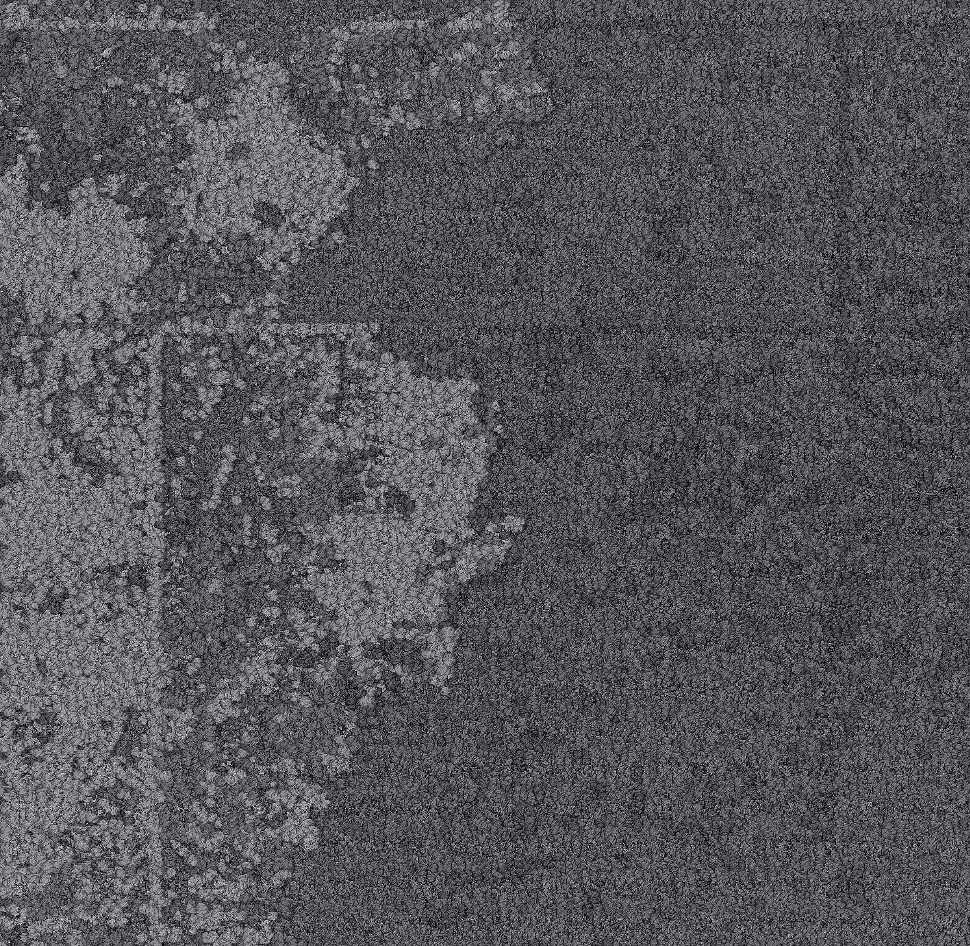Net effect collection B602