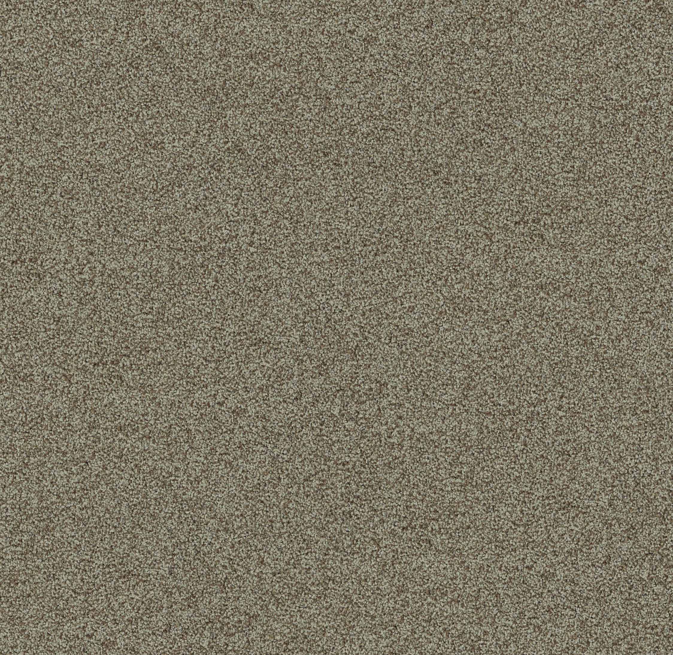 Polichrome
