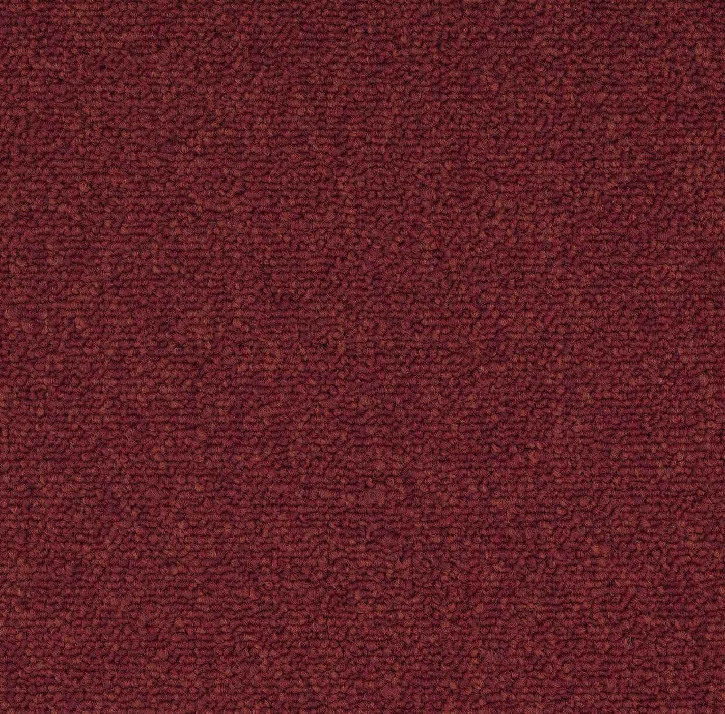 Modaera