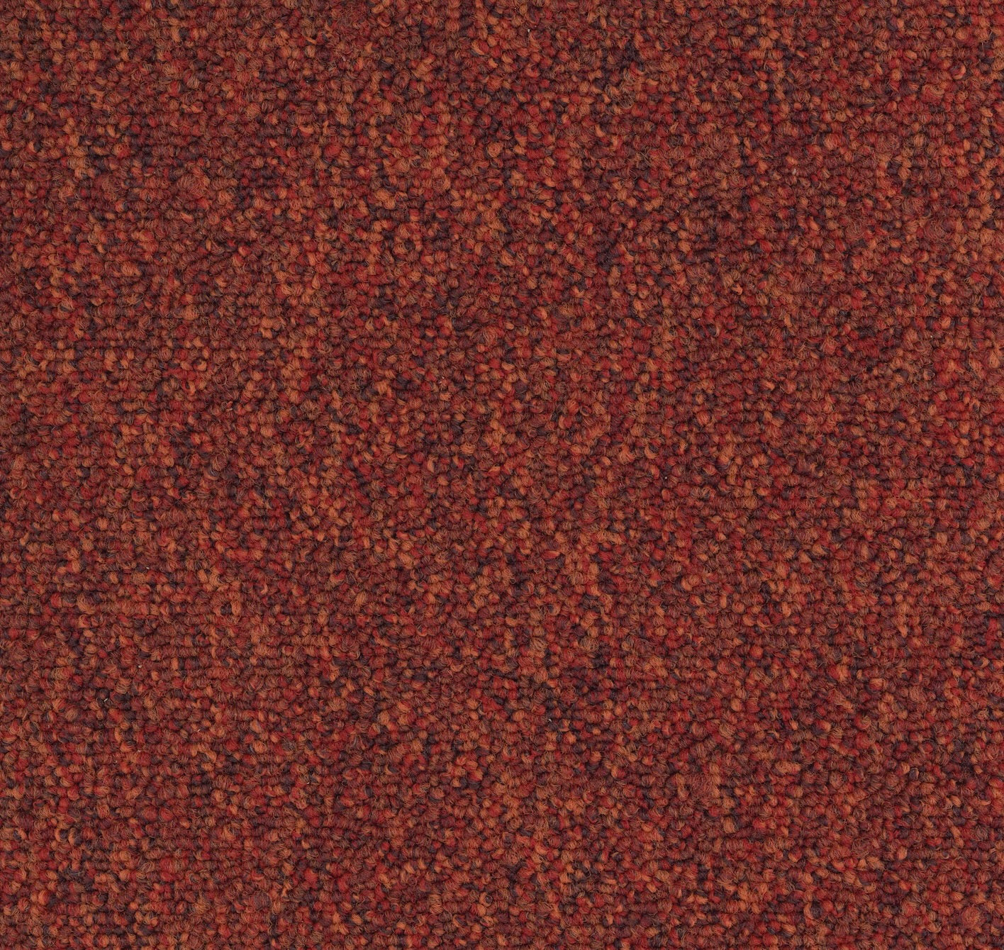 Modaera