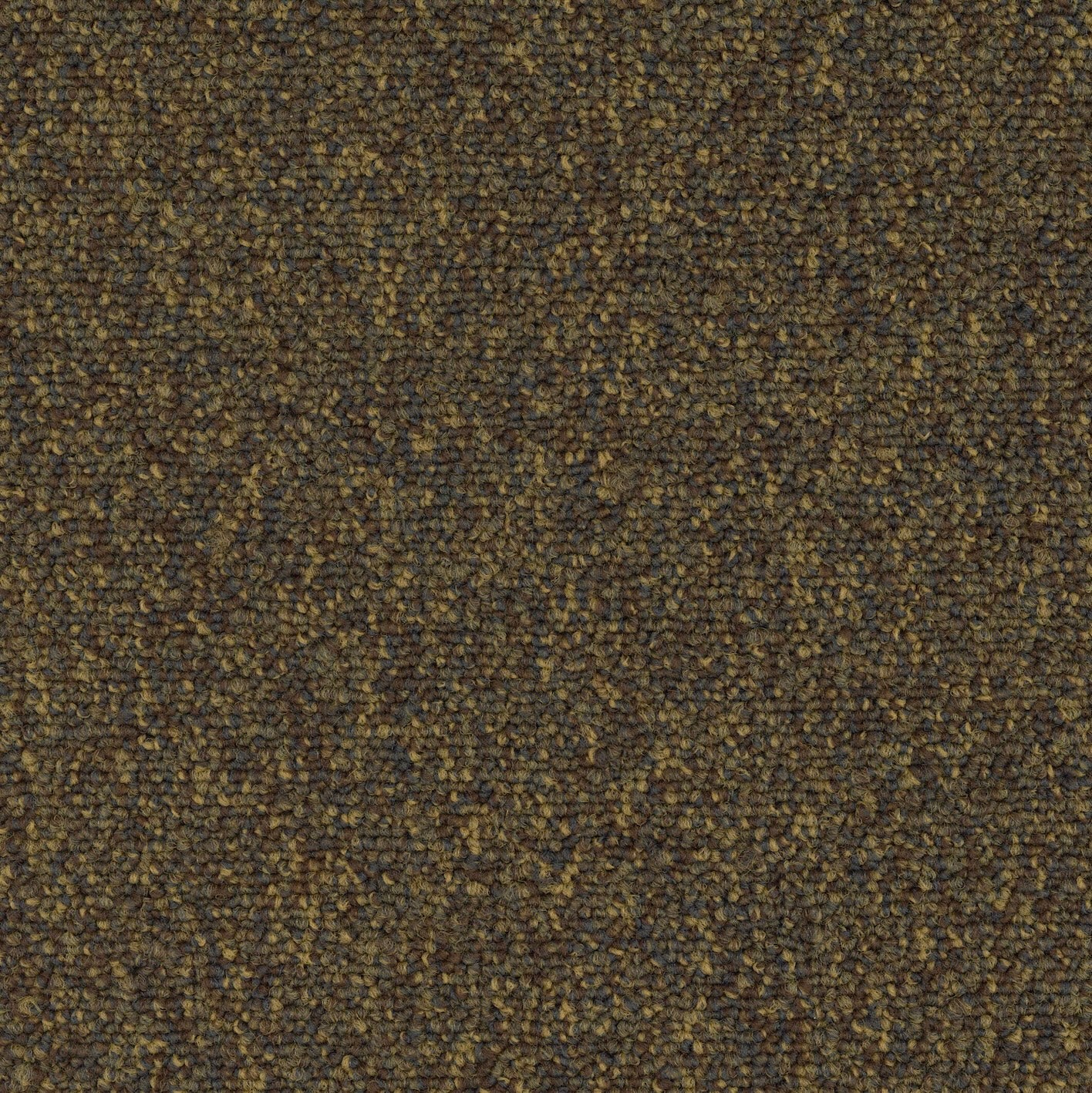 Modaera