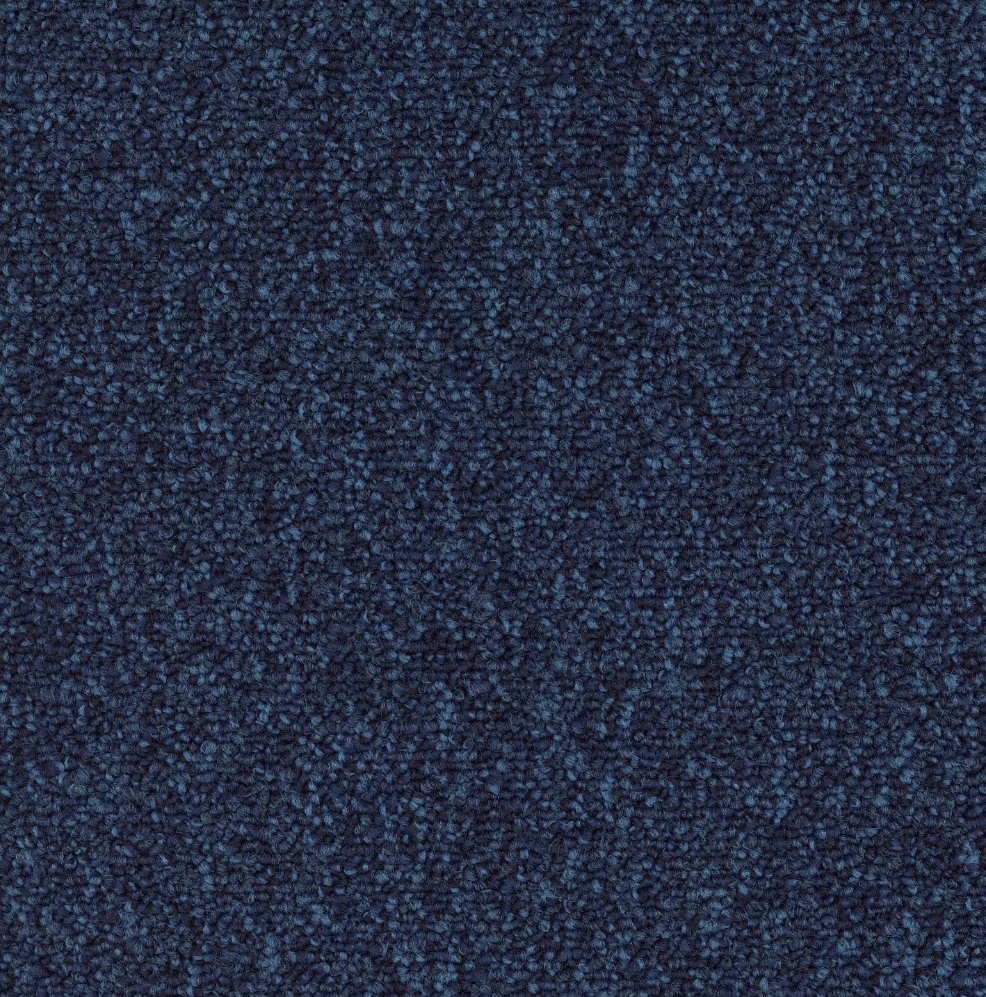 Modaera