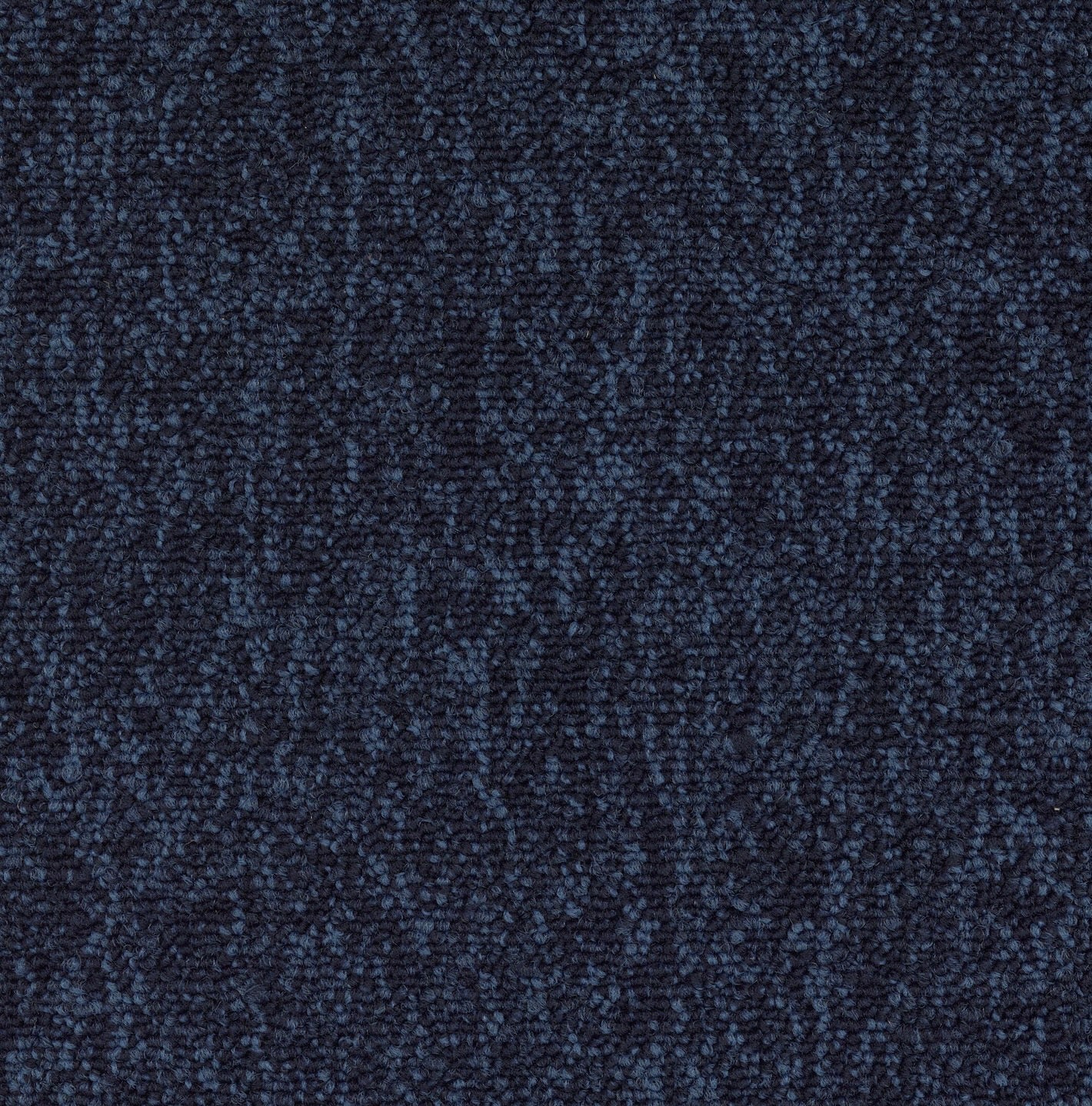 Modaera