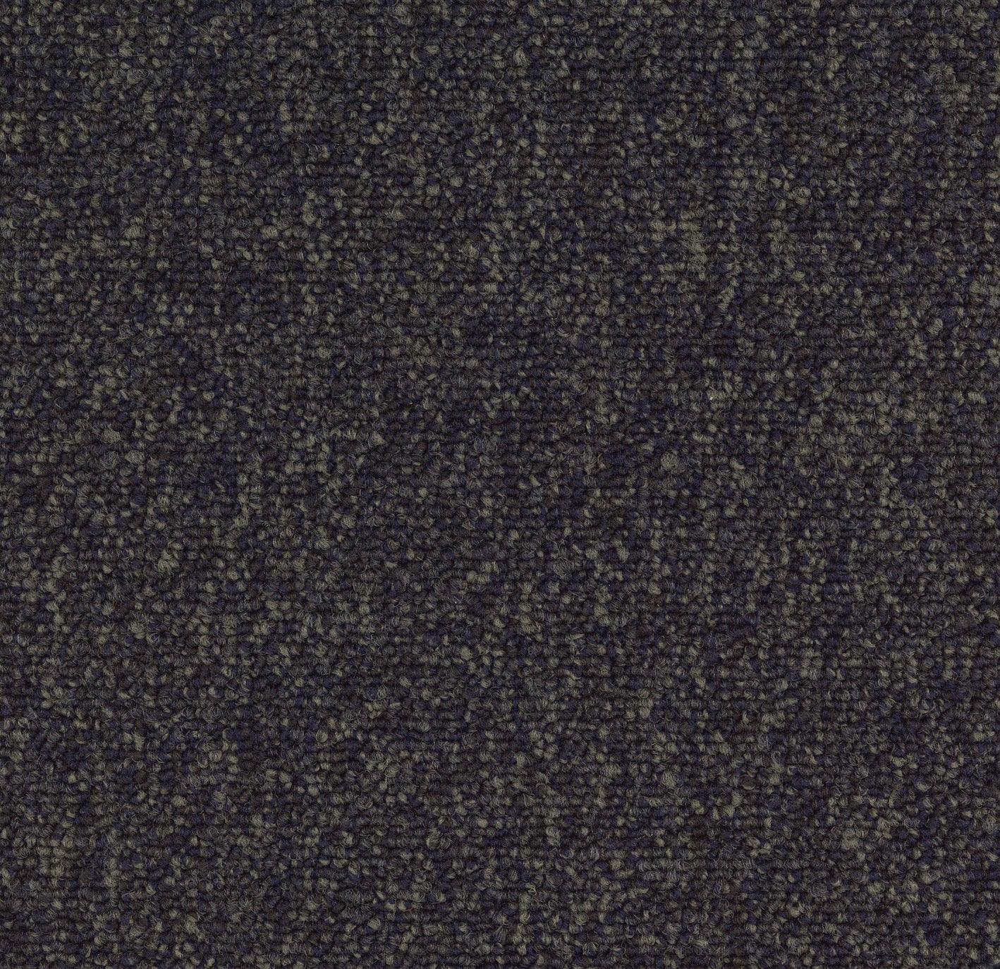 Modaera